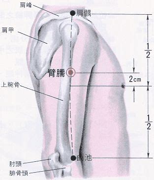 虎口位置|醫砭 » 經穴庫 » 虎口